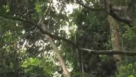 Côn Đảo - Thiên đường của du khách