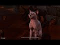 Why Speak with Animals is a MUST HAVE Spell - Baldur's Gate 3