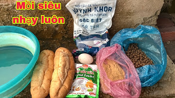 Bài Mồi Câu Cá Tra Sông Này Hiệu Quả Cá Ăn Liên Tục Nha | Fishing - Miền Tây