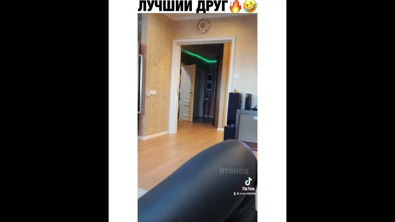 ПОЙМАНА СЕРАЯ КРЫСА ГИГАНТ