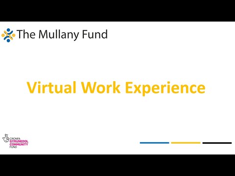 Mullany Virtual Work Experience – Junior Doctor