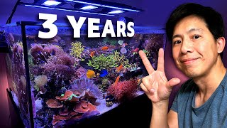 Updates on my 135g Mixed Reef - 3 Years! (EVERYTHING: Fish, SPS, LPS, Soft Corals, Clams) by Inappropriate Reefer 36,920 views 5 months ago 38 minutes