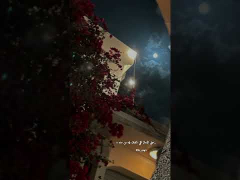 راشد الماجد بنيت بك حلم اغاني بدون موسيقى