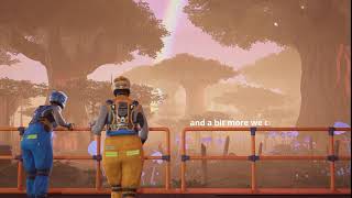 (02/06) 1.2 Launch Stream
