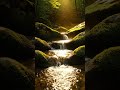 You Need This After a Long Day 🌿 #relaxingnature #asmrwater #nature #relaxing