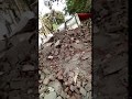 Gholai Nagar Me Road Ke Liye Tode Gye Ghar