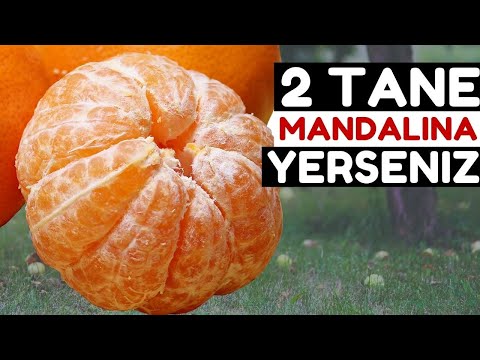 Video: İyi Mandalina Nasıl Seçilir