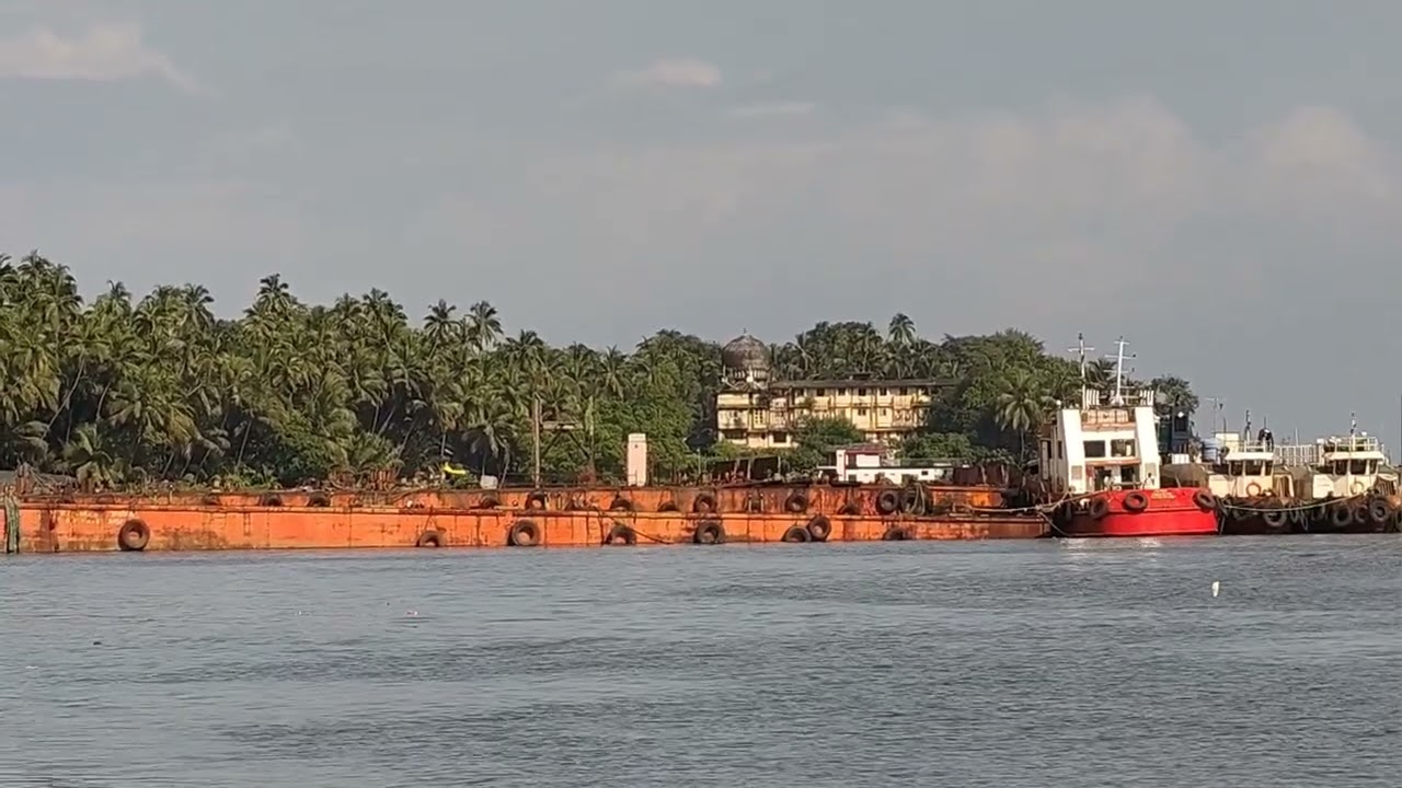 🍃 Serenity in the Sea | Nature Relaxation Video