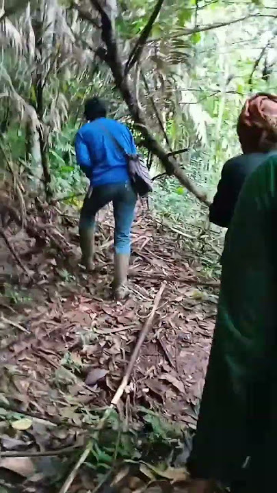Menerabas lebatnya hutan Sangiang talaga