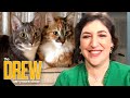 Drew Brings Mayim Bialik a Virtual Cat Cafe After COVID-19 Spoiled Her Dreams of Visiting