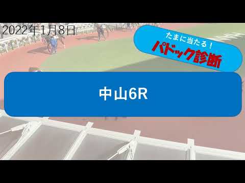 【予想競馬】たまに当たるパドック診断。2022年1月8日中山6Rパドック