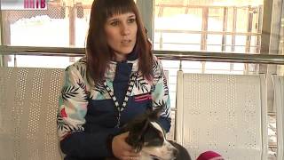 Воспитанники детских домов побывали в приюте для животных «Сострадание» Воспитанники детских домов побывали в приюте для животных «Сострадание»