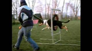 Vigo, slow motion agility training
