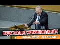 ЖИРИНОВСКИЙ: МАРОДЕРЫ МОРАЛЬНОГО ФРОНТА!..