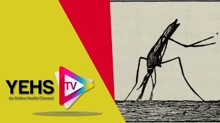 Yellow Fever Vaccine