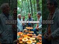 The Breakthrough Behind Fantastic Fungi: A Story of Innovation