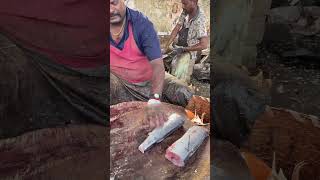 KASIMEDU FRESH FISH CUTTING🔥