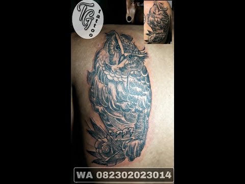 Unduh 760 Gambar Henna Burung Hantu Terbaik 