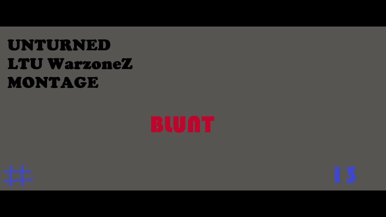 LTU \ USA WarzoneZ | Unturned montage #13