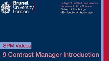 SPM Tutorial 09 - Contrast Manager Introduction