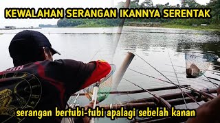 Mancing Cirata Terbaru🔥 Kewalahan Dengan Serangan Ikan yang Serentak!! Serangan bertubi-tubi