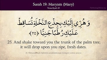 سورة مريم مترجم انجليزي - Surah Maryam Translated English
