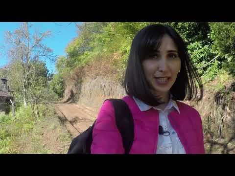 Dologani - -erti dge sofelshi