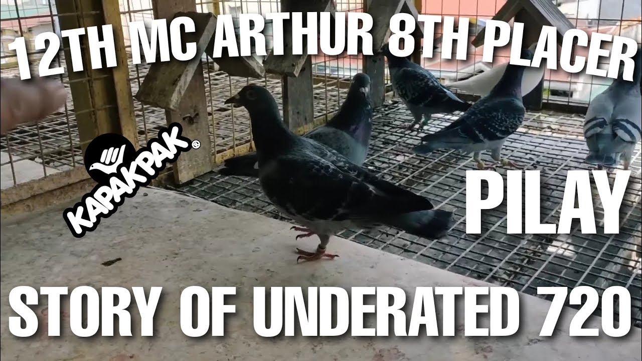 STORY OF UNDERATED 720 (12TH MC ARTHUR 8TH PLACER) | EZEKIEL LUNAR LOFT