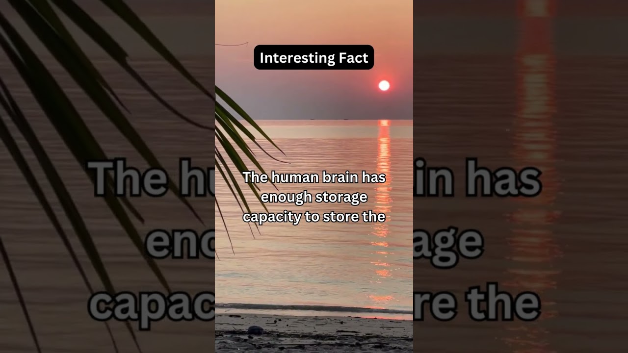 interesting fact