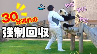 【天才パンダ楓浜回収劇】てんやわんやで大爆笑w帰る気さらさらありません😁