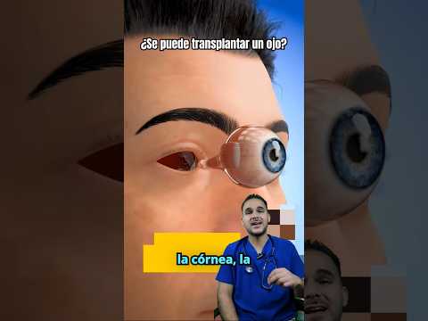 ¿Una persona ciega