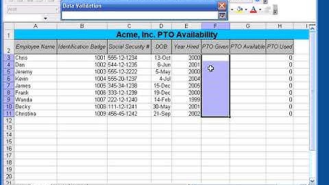 MS Excel 2003 Basic ( Data Validation) Lesson - 17