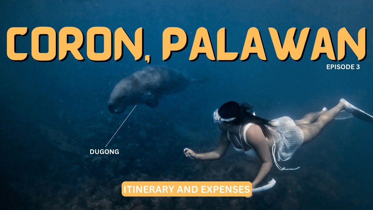 Why I don’t recommend “Dugong Watching” in Coron, Palawan