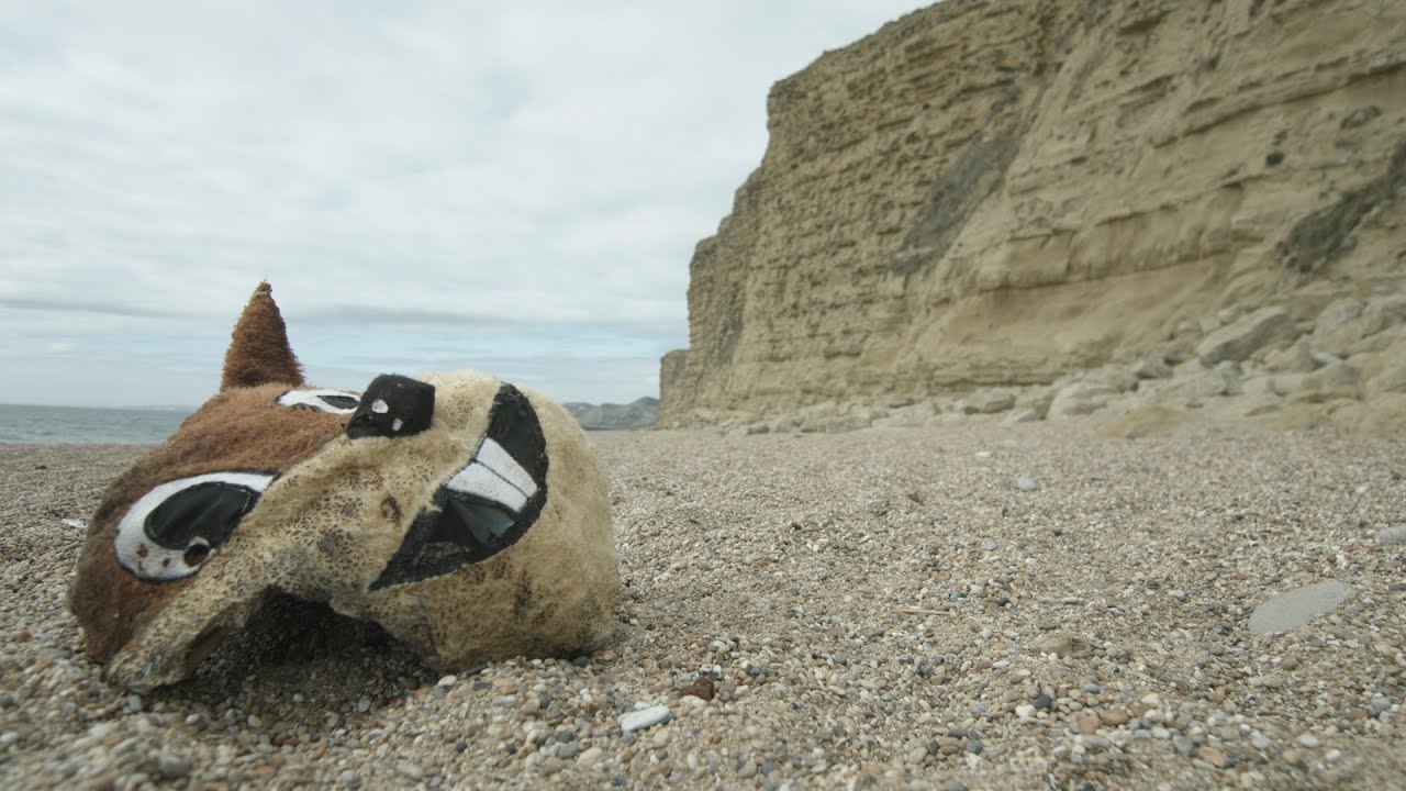 Odd squirrel shaped head stuck up cliff in Dorset - Nelson Nutmeg News!