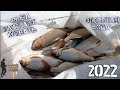 Рыбалка на Томи 2022 поплавок настало твоё время)))