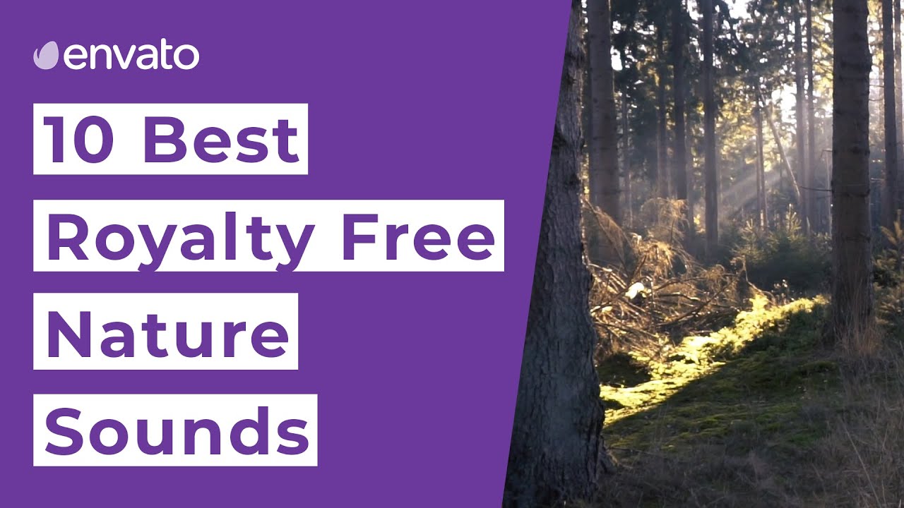 10 Best Sites to Find Royalty Free Music for  Videos - Wonder Forest