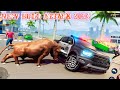 Angry Bull Simulator Attack gameplay android mobile Angry Bull Simulator Attack gameplay android mobile