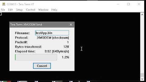 STM32 bootloader transfer
