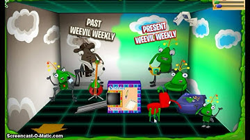 Bin Weevils- How To Find The Green Super Antenna Quest Chest And Getting Super Antennas