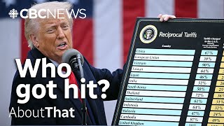 'Liberation Day': How Trump declared a tariff war on the world | About That