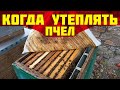 Когда утеплять пчел на пасеке осенью? Холодная зимовка пчел. Почему много расплода у пчел осенью?