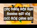 ඔබ එදිනෙදා දකින දේවල් 8ක ඇත්තම විද්‍යාත්මක තේරුම දැනගමුද? | Reasons Behind Our 8 Everyday Things