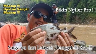This is where Genggehek and Lalawak fish are found || Wild Fishing in the Cimanuk River
