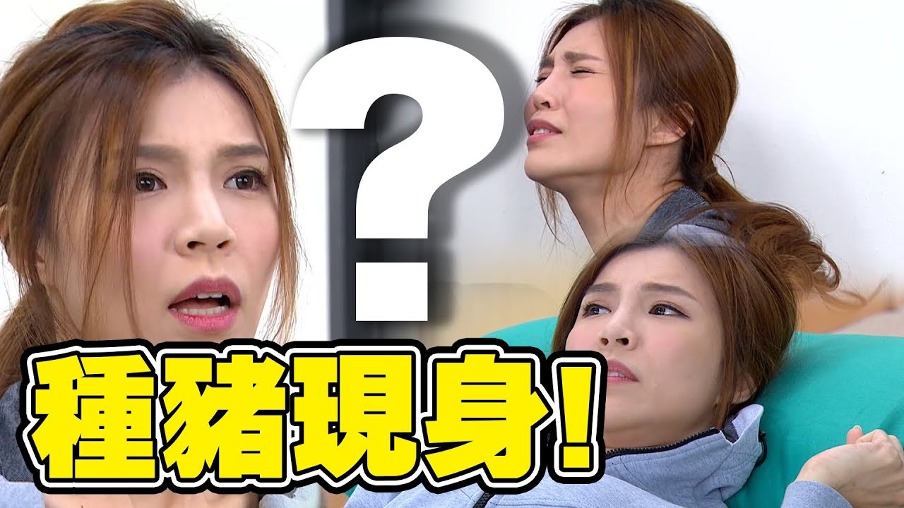 炮仔聲│EP193 曉馨肚裡孩子的爸現身！會不會母憑子貴？ The Sound Of Happiness│Vidol.tv