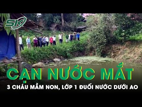 Video 3 Cháu Mầm Non, Lớp 1 Đuối Nước Ở Ao Gần Nhà: Cha Mẹ... - youtube