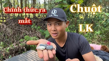 Chính Thức Ra Mắt Chuột Lk