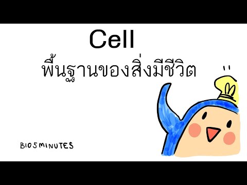 วีดีโอ: Microvilli อยู่ในเซลล์พืชและสัตว์หรือไม่?