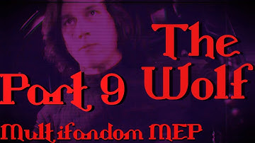 (TW: Glitch/Flash) | The Wolf Multifandom MEP | Part 9 | For Phantom Wisp