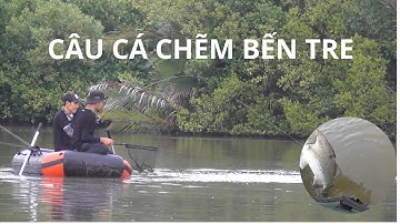 CÂU CÁ CHẼM BÌNH ĐẠI BẾN TRE huynhvananfishing