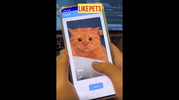 Tinder for Pets | ANDROID STUDIO | + Source Code